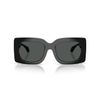 0-VE4496-U-GB1-87-P21-shad-fr
